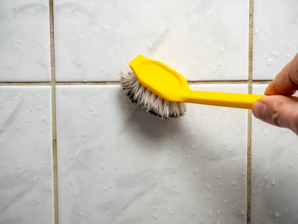 Reliable Sharonville, OH Mold Remediation Solutions