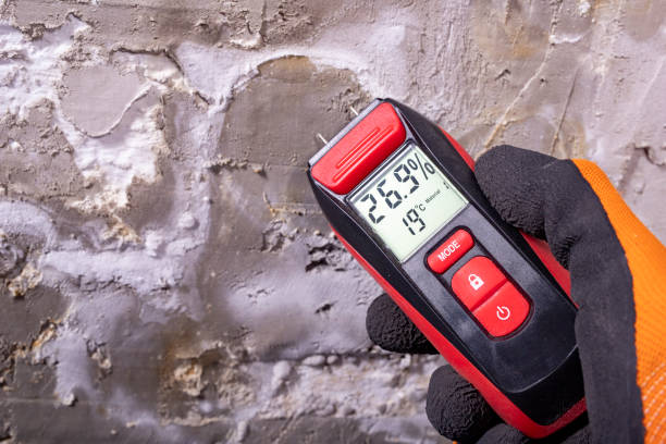 Best Basement Mold Remediation in Sharonville, OH