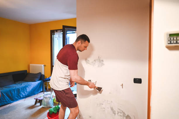 Best Preventive Mold Services in Sharonville, OH